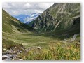 Flüela Alpe